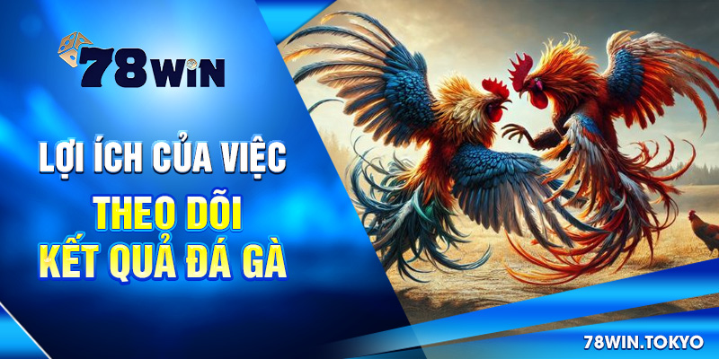 Cập Nhật Kết Quả Đá Gà Online 78WIN – Chuẩn Từng Giây 9 Lợi ích của việc theo dõi kết quả đá gà