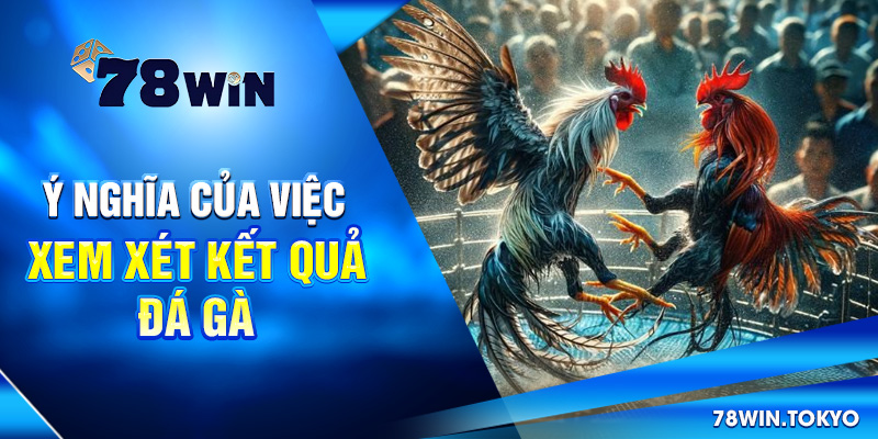 Cập Nhật Kết Quả Đá Gà Online 78WIN – Chuẩn Từng Giây 7 Ý nghĩa của việc xem xét kết quả đá gà